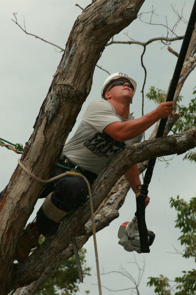 Tree pruning and removal