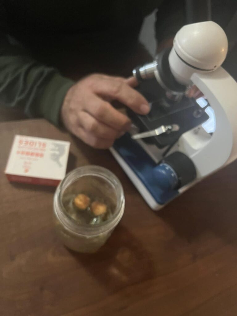 Soil and tissue testing