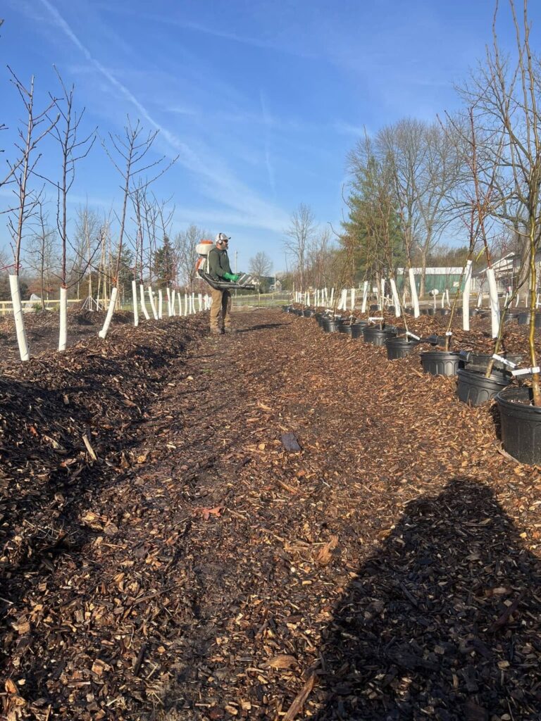 Mulch