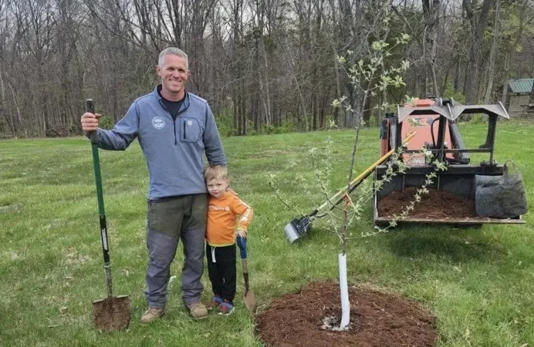 Tree planting