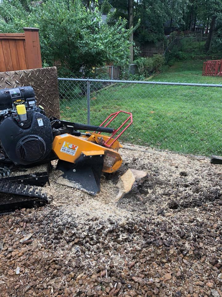 Stump removal