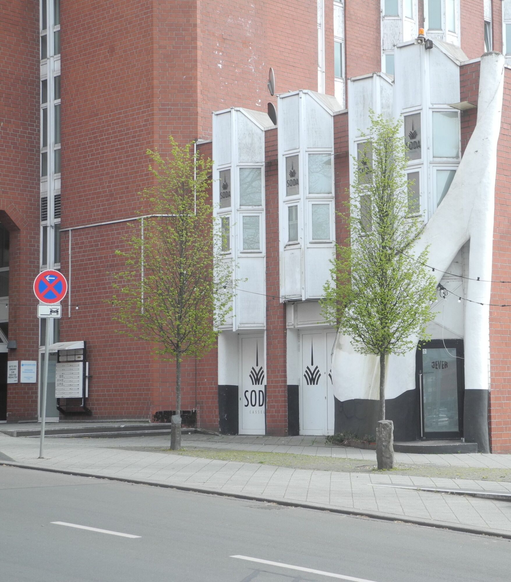 Frans Fontaine hornbeam: young columnar street trees by a brick building